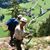 Donna Henderson Hallatt's profile image