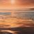 Sherry Beck's profile image