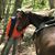 Caryl Van Fleet's profile image