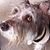 Vicki Albright's profile image