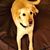 Judy Madelone's profile image