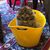 Linda Shaw's profile image