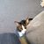 Lori Ann Morgenstern's profile image