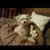 Barbara Smith's profile image