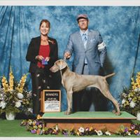 Penny Hoffman's profile image