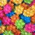 Linda Hurtado's profile image