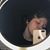 Erika Lekas's profile image