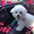 Karen Everette's profile image