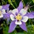 Vicki Fuqua Rupp's profile image