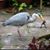David King's profile image