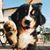 Cheri Raber's profile image