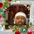 Mo Adam's profile image