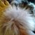 Lia Newman's profile image