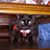 Naoko Copeland's profile image