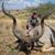 Andy Kyriakidis's profile image