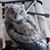 Keren Margaret Weir's profile image