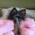 Deb Spahn's profile image