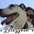Sharon Cheek's profile image