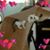 Mary Giordano-Grant's profile image