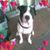 Robyn Clauser's profile image