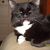 LM Basteri's profile image