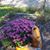 Marcia MacGraw's profile image