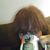 Cassandra Cleveland-Gill's profile image