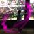 Mandi M. Lynch's profile image