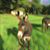Karen Claridge's profile image