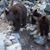 Linda Smith Rolsten's profile image