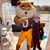Laura Burkland Holmes's profile image