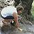 Nancy Sepulveda-Higgins's profile image