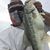 Anthony F. Gennaro's profile image