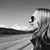 Megan Moran's profile image