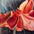 Katherine Salverda's profile image