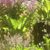 Tayra Shay's profile image