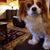 Bernadette M. McGinnis's profile image