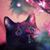 Robin E Lane's profile image