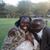 Ruth Lindah's profile image