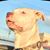 Tyler Eschete's profile image