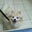 Sherrie Gross's profile image