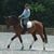 Mistie Cantey's profile image