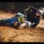 Sam Messler's profile image
