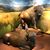 Anna T Grzelak's profile image