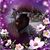Kim Brown-anderson's profile image
