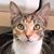 Catherine DeBlasio's profile image