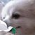 Marilyn Rossignuolo's profile image