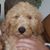 Joe Navarre's profile image