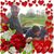 Tina Coffman Baughn's profile image