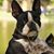 Jacqueline Faith's profile image